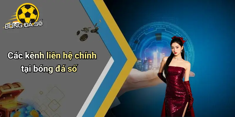 Liên Hệ: Giải Pháp Tương Tác Nhanh Chóng Tại Bóng Đá Số 2 Liên Hệ