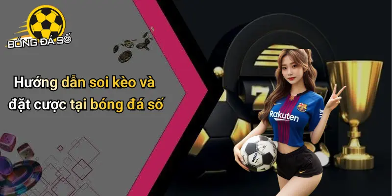 Bóng Đá Số: Sân Chơi Cá Cược Thể Thao, Tỷ Lệ Kèo Hot Nhất 70 Bóng đá số