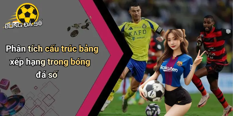 Bảng xếp hạng