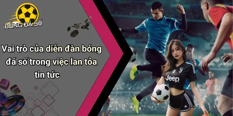 Tin Tức Bóng Đá