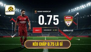 Kèo chấp 0.75 là gì