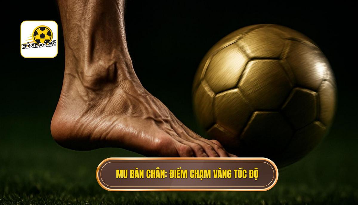 Mu bàn chân_ Điểm chạm vàng tạo nên tốc độ