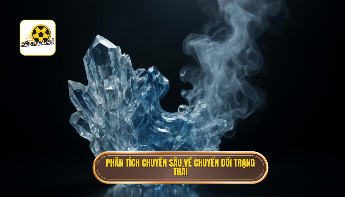 Phân Tích Chuyên Sâu Các Pha Chuyển Đổi Trạng Thái
