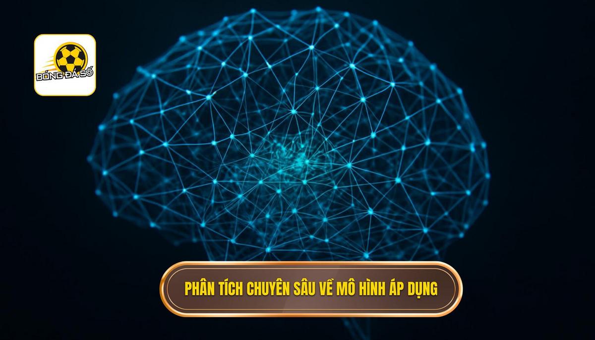 Phân tích Chuyên sâu về Các Mô hình Áp dụng