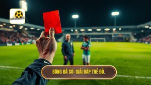 Bóng Đá Số_ Giải đáp thẻ đỏ.