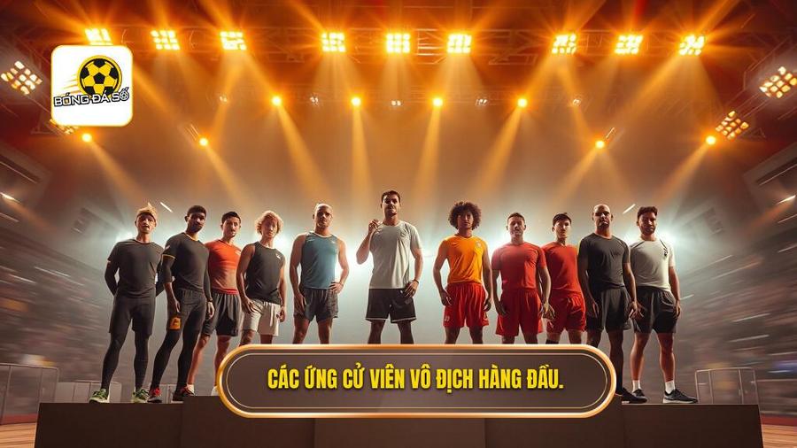 Các ứng cử viên vô địch hàng đầu.