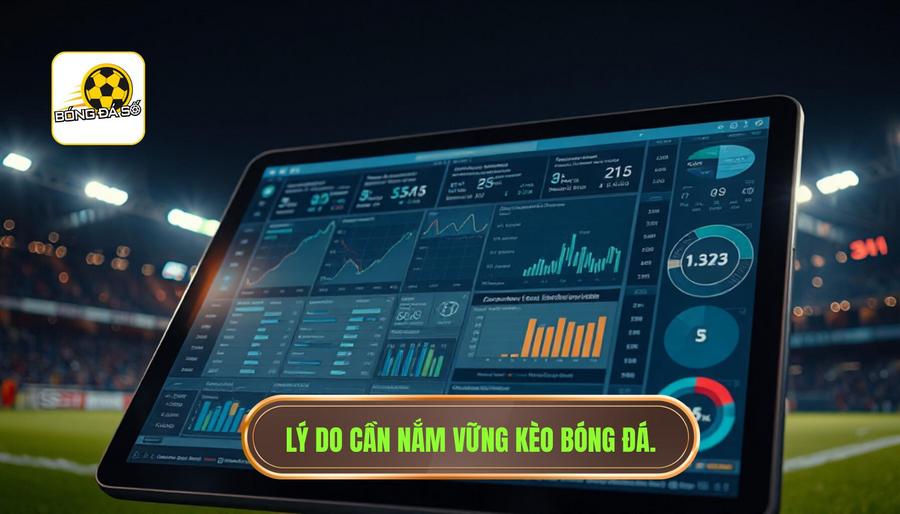 Cách đọc kèo bóng đá trong 5 phút: Bí kíp nằm lòng cho người mới bắt đầu 1 Tại sao cần nắm vững cách đọc kèo bóng đá trong 5 phút?