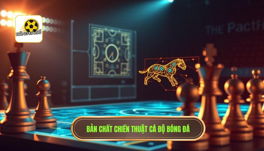 1. Bản chất chiến thuật cá độ bóng đá