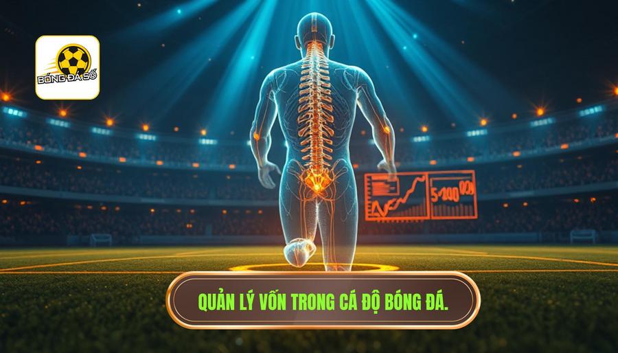3. Quản lý vốn trong cá độ bóng đá.
